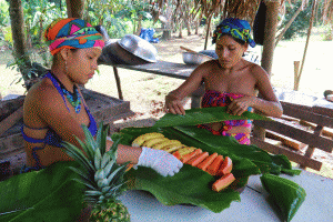 Embera202008
